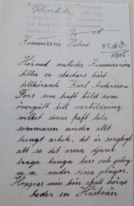 Plågad häst vid Fors