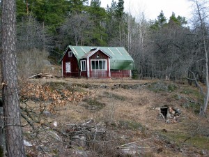 fågel1