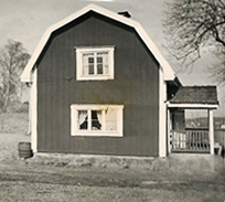åbrunnatorpet