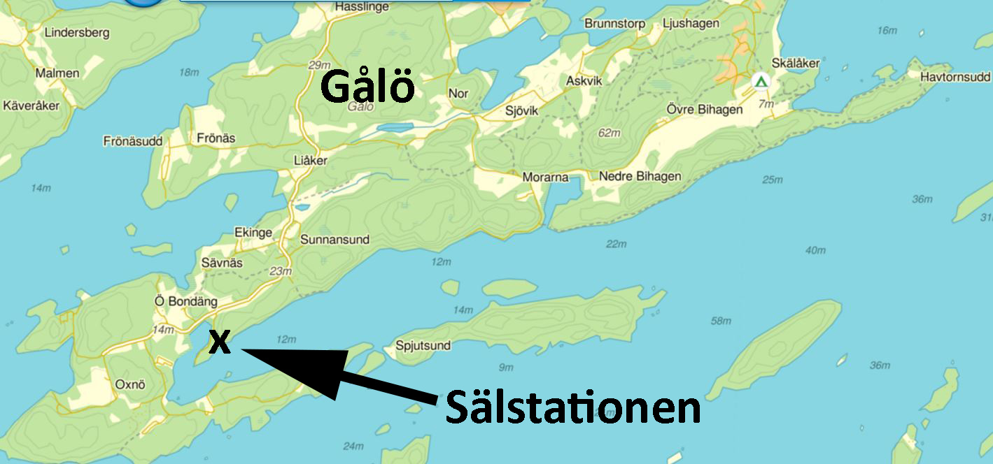 Karta sölst