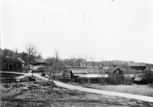 SigridFors1929